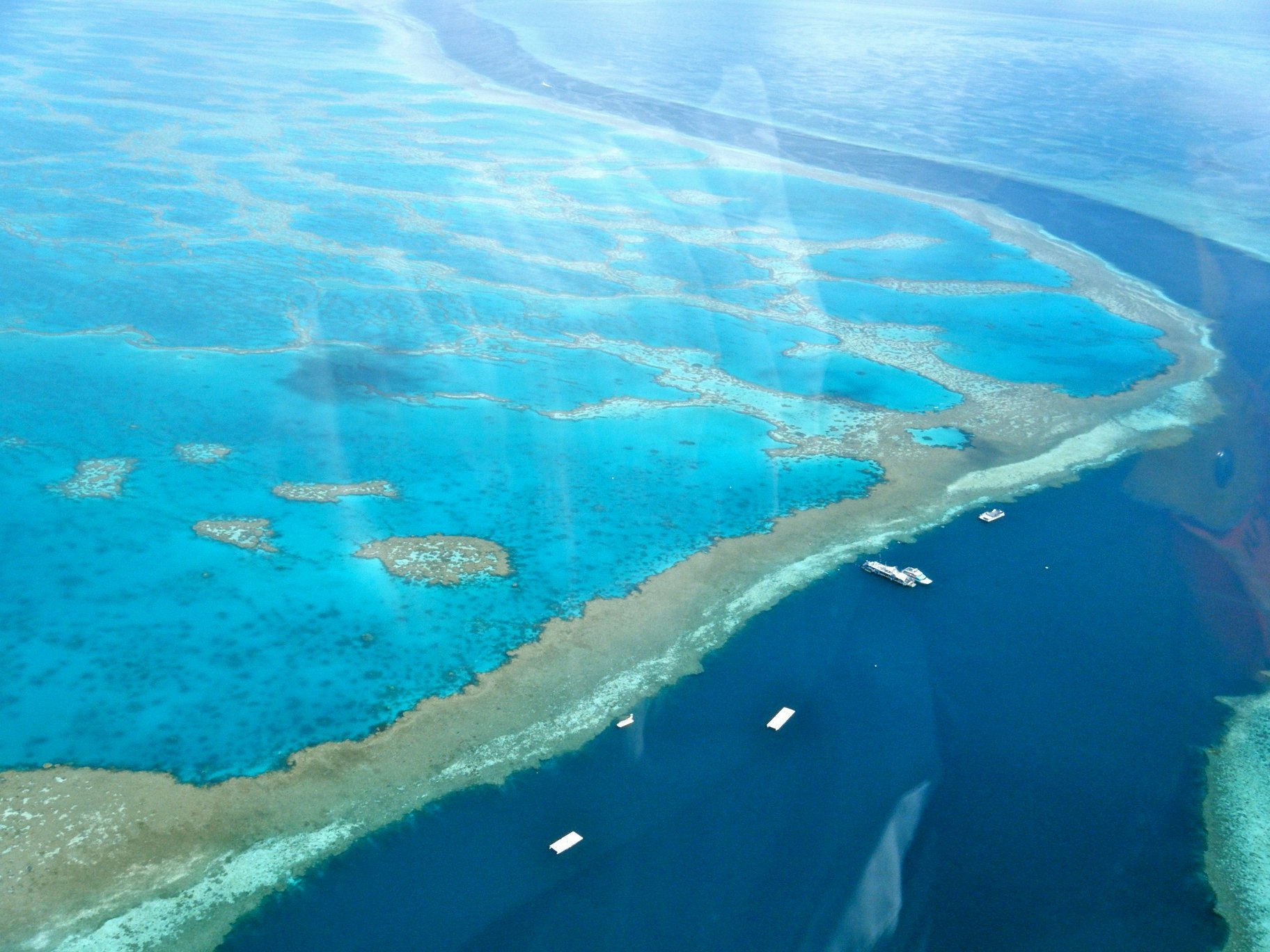 kanna The Great Barrier Reef, Ástralíu
