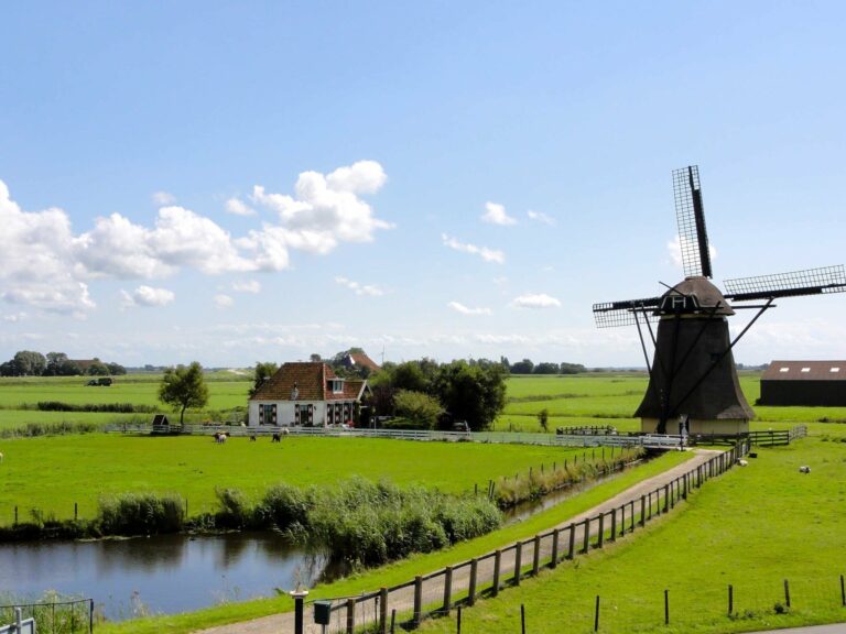 explore the Netherlands