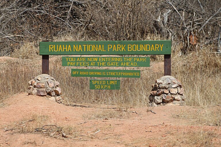 jelajahi Taman Nasional Ruaha, Tanzania