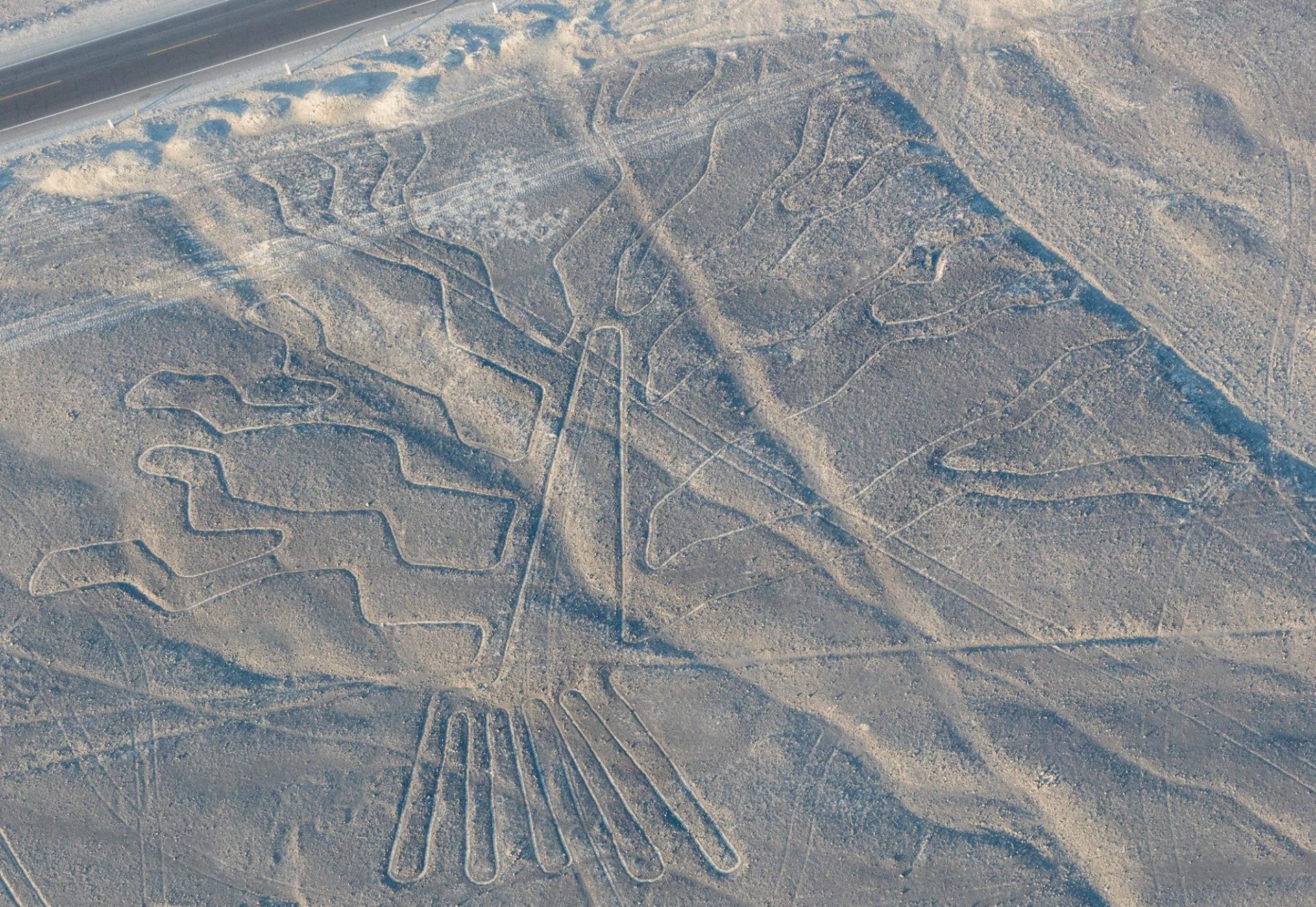 Gwida tal-ivvjaġġar tal-Linji Nazca