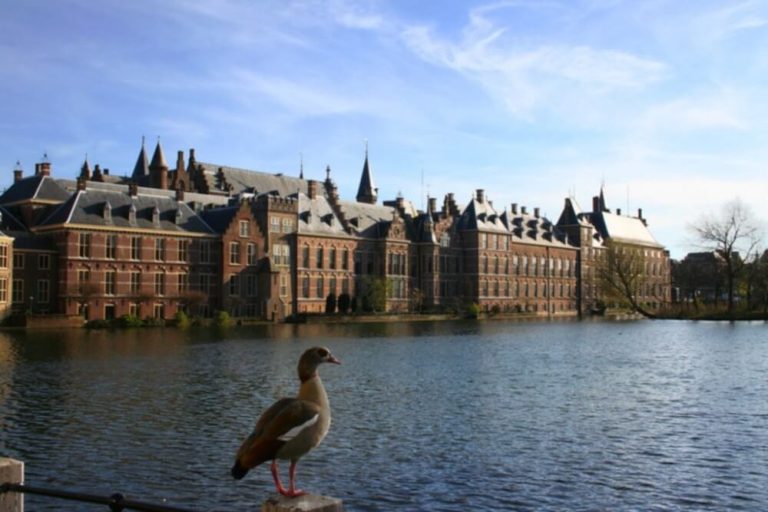 Top Things to Do in Hague