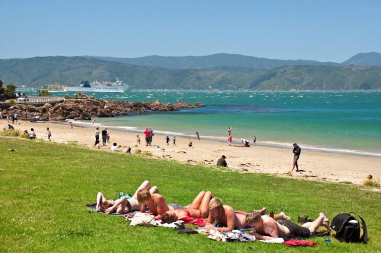 Top Things to Do in New Zealand