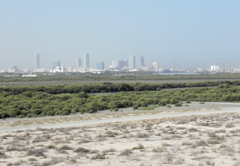 Umm Al Quwain in UAE 3 - Home Page