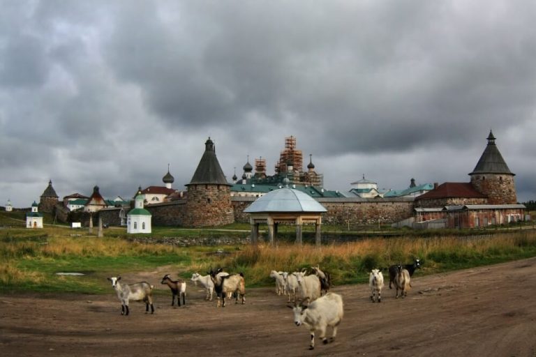 Top Things to Do in Solovetsky Islands