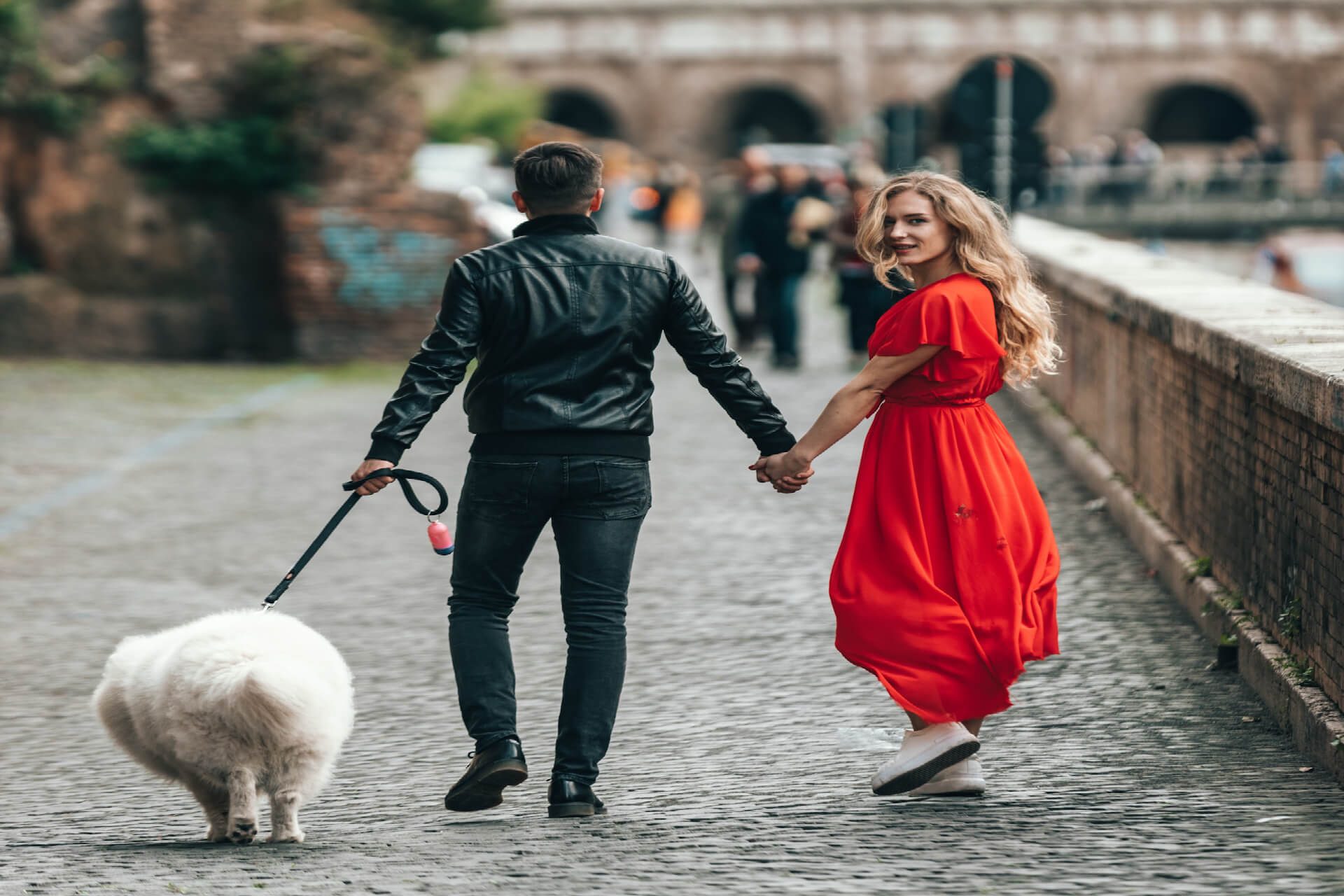 Unleash the Paw-fect Adventure. Mastering Dog-Friendly Travel