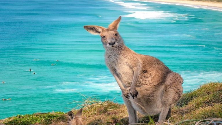 Top things to do in Australia